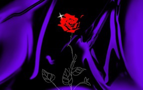 Роза на сиреневой ткани на День Святого Валентина