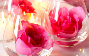 Роза в бокале на День Святого Валентина