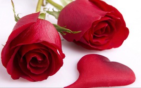 Розы и сердце в День Святого Валентина