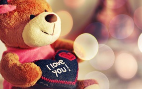 Teddy bear on Valentine's Day February 14