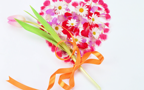 Тюльпан и сердце на День Святого Валентина 14 февраля