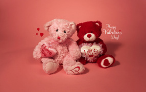 Two teddy bear on Valentine's Day February 14