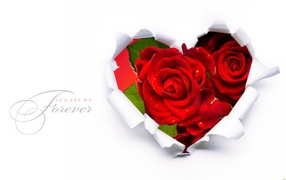 Ты моя навсегда в День Святого Валентина