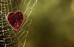 Сердечко на паутине