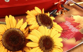 Bouquet of sunflowers in the Knowledge Day on September 1