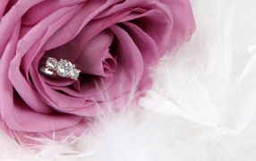 Фиолетовая роза и кольцо, предложение руки и сердца