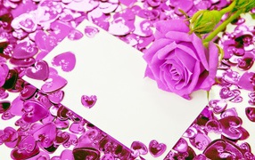 Purple rose and hearts