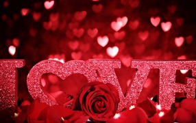 Red roses and a declaration of love