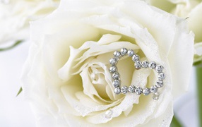 Белые розы и сердце из белых драгоценных камней