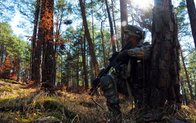 Солдат прячется за деревом