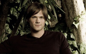 Возлюбленный Актер Джаред Падалеки