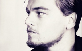 Голливудский актер Леонардо Ди Каприо