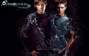 Киноактер Джаред Падалеки