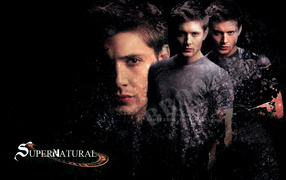 Популярный кино Актер Дженсен Эклс