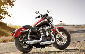 Красивый мотоцикл в москве Harley-Davidson XL 1200C Sportster Custom