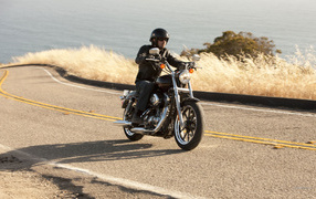 Невероятный мотоцикл Harley-Davidson XL 883L Sportster