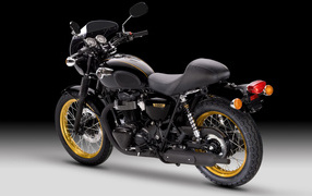 Невероятный мотоцикл Kawasaki W 800