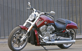 Невероятно быстрый мотоциклHarley-Davidson V-Rod Muscle