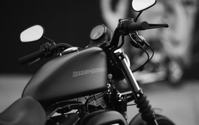 Мотоцикл модели Harley-Davidson XL 883N Sportster Iron