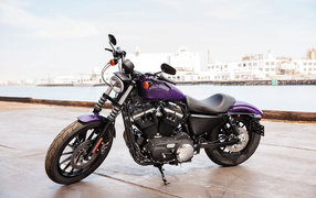 Новый мотоцикл на дороге Harley-Davidson XL 883N Sportster Iron