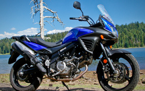 Новый мотоцикл Suzuki V-Storm 650 ABS