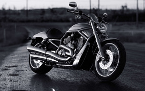Новый надежный мотоцикл Harley-Davidson V-Rod Muscle