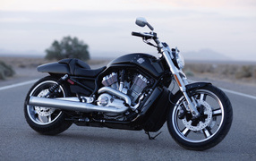 Популярный мотоцикл Harley-Davidson V-Rod Muscle
