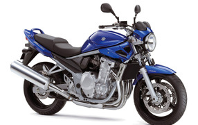 Популярный мотоцикл Suzuki  GSF 650