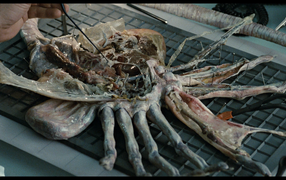 Кино 80-й пришелец