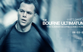 Идентификация Борна