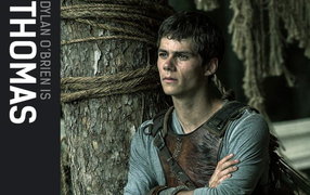 Бегущий по лабиринту участник игры