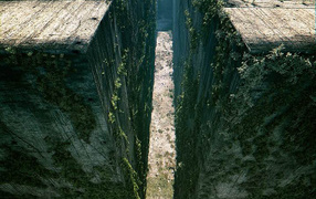 Бегущий по лабиринту место действия игры