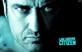  Законопослушный гражданин