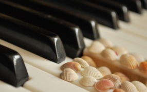 Клавиши с ракушками