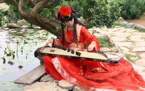 Утренние кувшинки под музыку