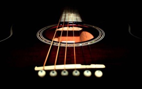 Strings on a guitar