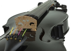 Cкрипка лакированная