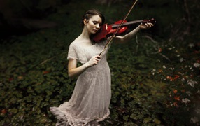 Скрипачка на траве