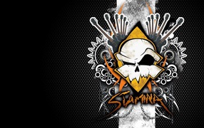 Надпись под рисунком Стамина