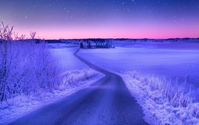 Evening winter landscape