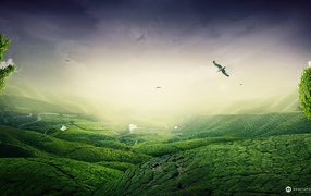 Зеленый пейзаж