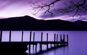 Фиолетовые сумерки