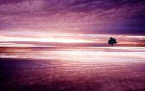 Фиолетовая природа 