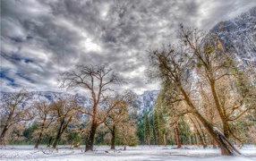 Зима в национальном парке