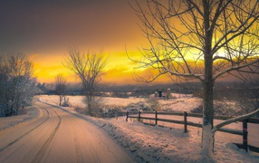 Желтый зимний закат