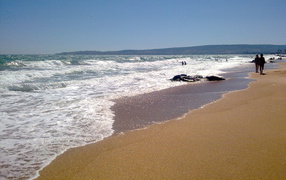 Золотой пляж в Феодосии