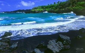 Красивый вид на черный пляж