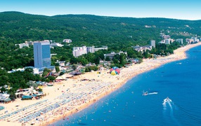 Отдых на золотом пляже