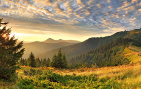 Облака в горах