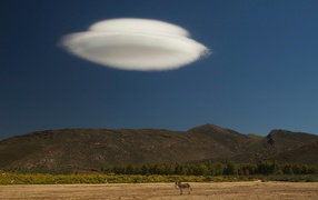 Облако в виде тарелки